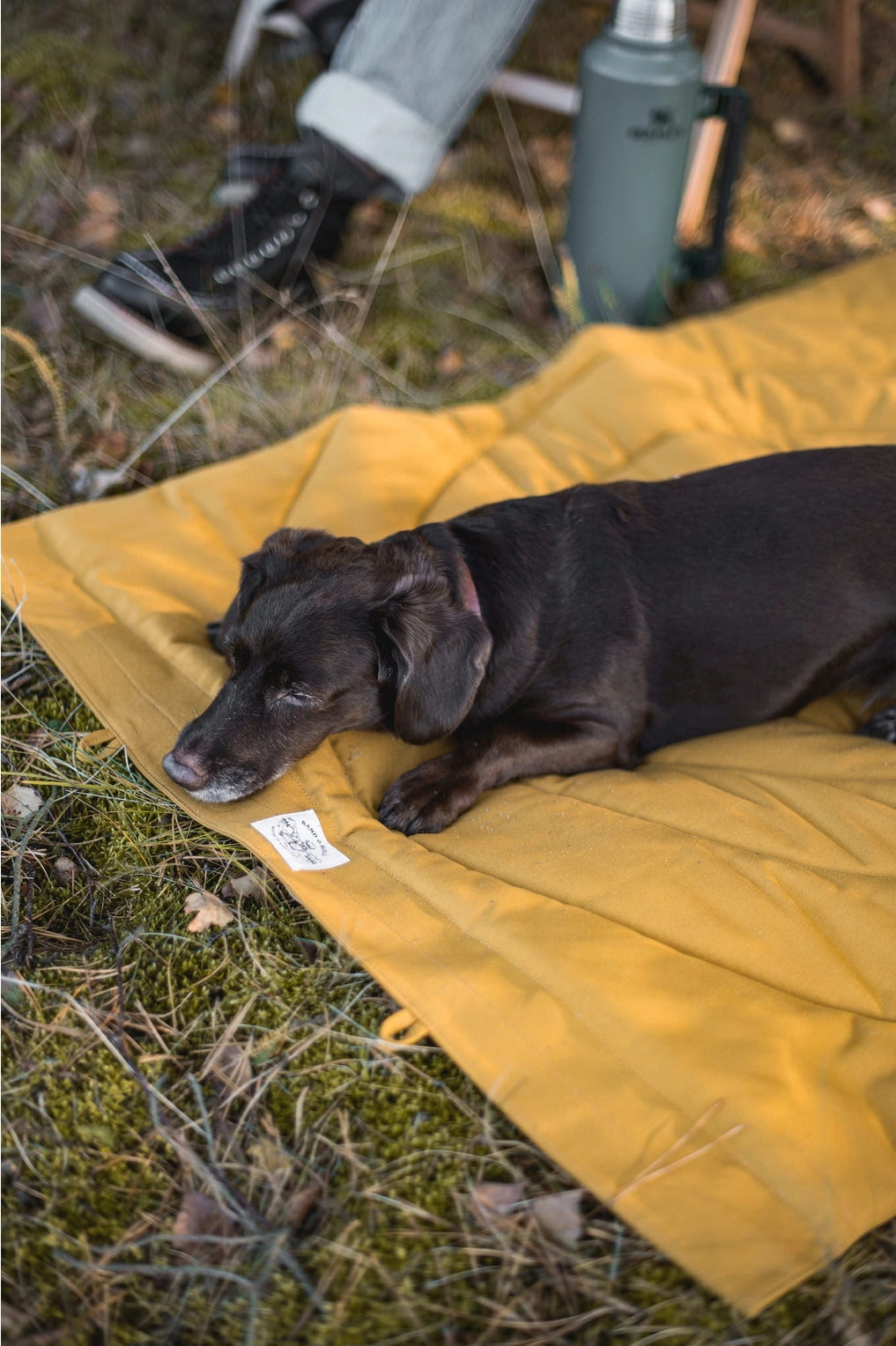 Dog Travel Blanket