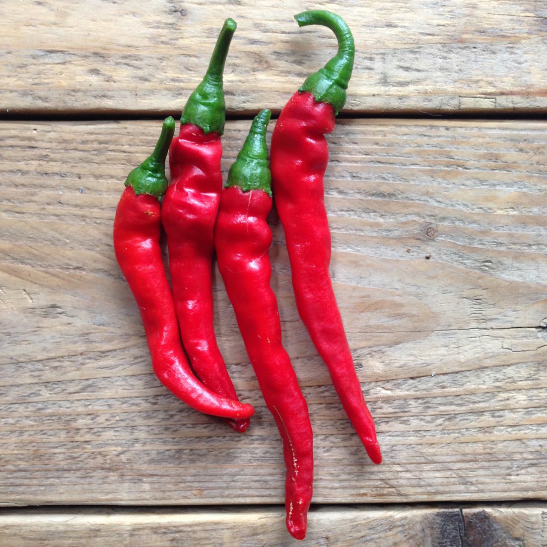 Piccolo %uyum_store% Cayenne Long Slim Hot Pepper Seeds